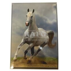 Pohled Koně - Arabský bělouš