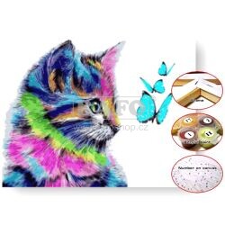 Malování podle čísel - Barevná kočička, 30 x 40 cm