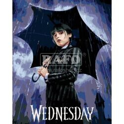 Diamantové malování - Wednesday, 40 x 50 cm