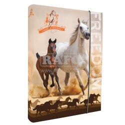 Box na sešity A4 Horses Freedom