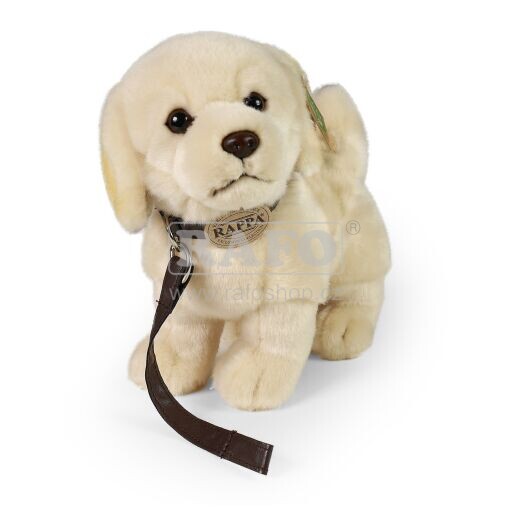 Plyšový pes - Zlatý retrívr, s vodítkem,