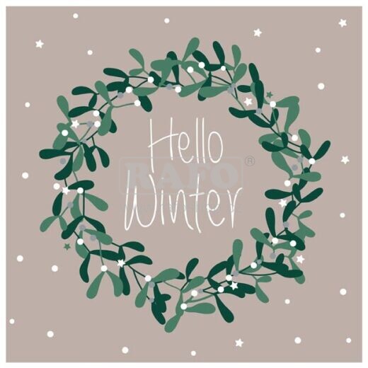 Ubrousky vánoční Hello Winter, 33 x 33 cm, 20 ks